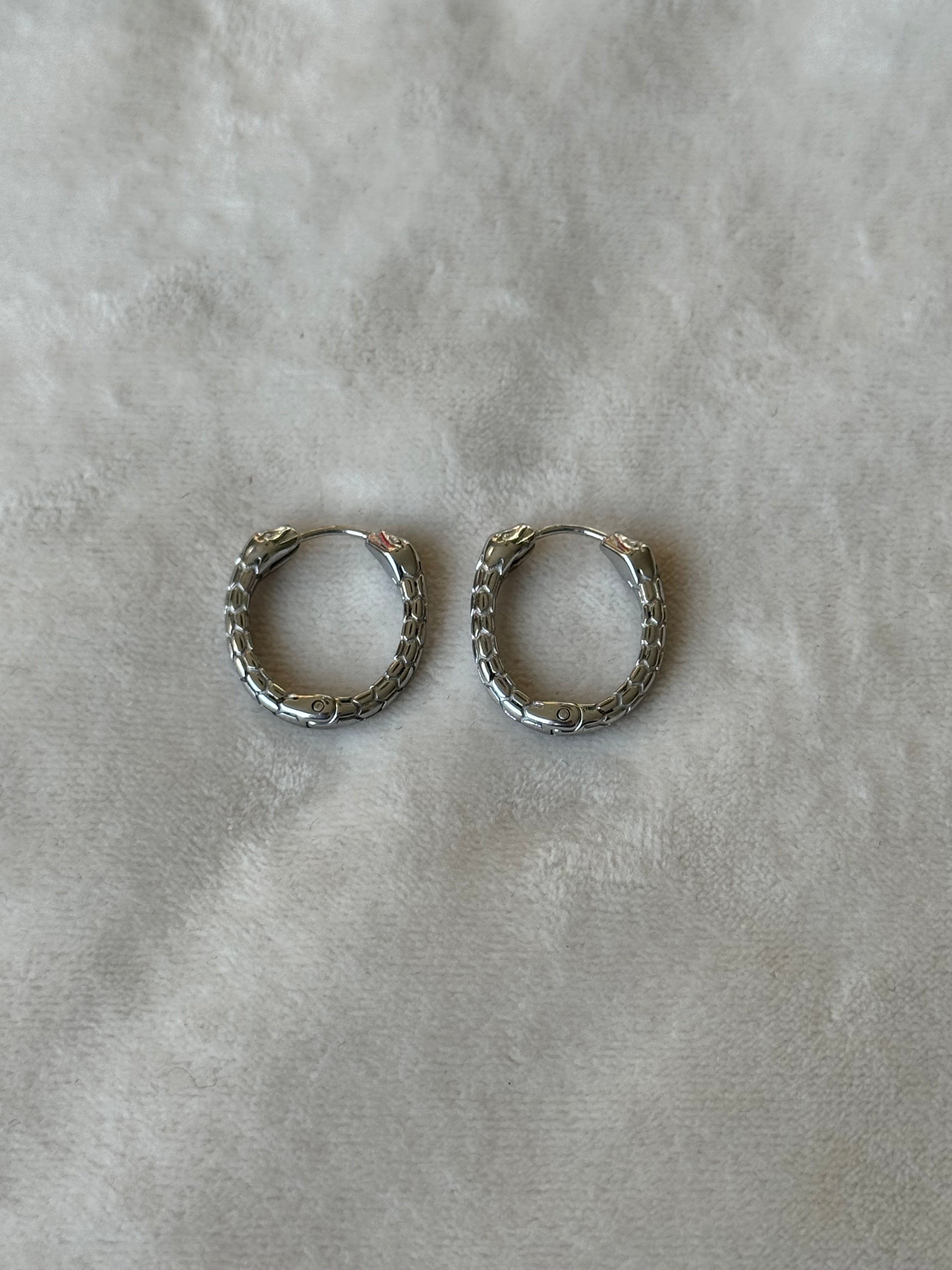 Oorbellen zilver slang